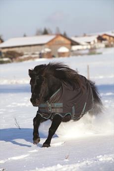 Horseware Amigo Hero 6 Pony Medium Turnout Rug