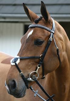 JW2 Deluxe Mexican Bridle with Continental Reins