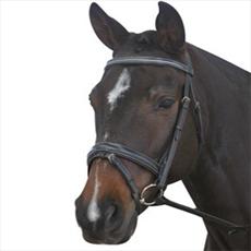 New Kincade Dressage Bridle with Reins