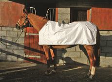 Rambo Horseware Waterproof Fly Rug Liner
