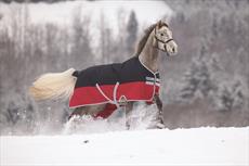 Horseware Rambo Amigo Mio Turnout Medium