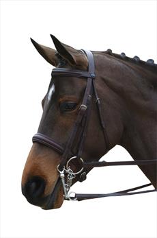 New Collegiate Raised Weymouth Bridle