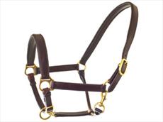 HyCLASS Leather Padded Head Collar