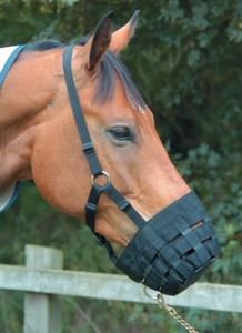 Economy Grazing Muzzle