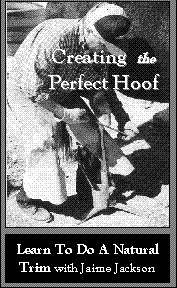 Creating the Perfect Hoof DVD