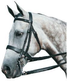 New Kincade Double/ Show Weymouth Bridle with Reins