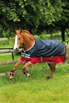 Horseware Rambo Amigo Mio Turnout Lite