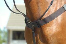 John Whitaker Elastic Breastplate