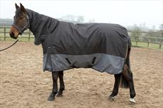 Sherwood Forest Ascot 150 Turnout Rug Combo OFFER!