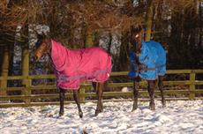 Cottage Craft Pony Fixed Neck Turnout Rug