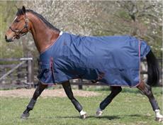 JHL Heavyweight Turnout Rug SPECIAL OFFER!