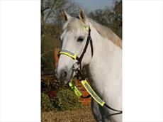 Luna Rider Reflective Bridle Kit