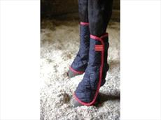 Equilibrium Therapy Magnetic Chaps