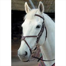Mark Todd Plain Raised Bridle with Grackle Noseband