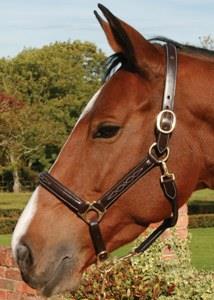 Mark Todd Leather Headcollar with Fancy Stitching
