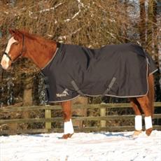 Masta Avante 340 Turnout SPECIAL OFFER!