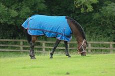 Cottage Craft Pony Turnout Rug Standard Neck