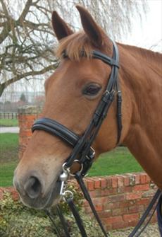 JHL Pro Weymouth Double Bridle