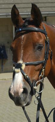 JW4 Super Deluxe Mexican with Rubber Reins
