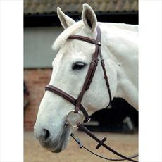 Mark Todd Plain Raised Bridle with Cavesson Noseband