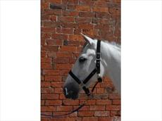 Hy Synthetic Head Collar