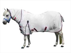 Weatherbeeta Cuddly Ponies Fly Sheet Combo