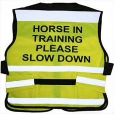 Equisafety Horse Training Air Road Safety Fluorescent Waistcoat