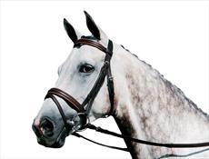 Kincade Contrast Flash Bridle SPECIAL OFFER