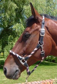 JHL Rope Headcollar