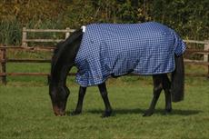 Mark Todd Lightweight Turnout Rug Dark Blue Plaid