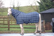 Masta PP Check Full Neck Stable Rug 