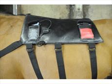 Equilibrium Therapy Horse Massage Pad (Saddle area)