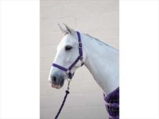 Hy Adjustable Soft Touch Head Collar