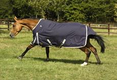 Mark Todd Autumner Turnout Rug