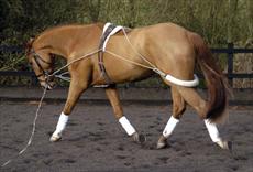 Pessoa Training Aid