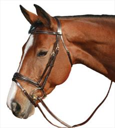 Mark Todd Fancy Stitch Flash Bridle