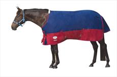 WeatherBeeta Landa Freestyle Standard Medium Lite