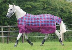 Masta Zing Lightweight Turnout Check 2011