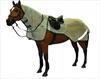 Horseware Ireland Rambo Fly Rider Rug with Vamoose