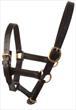JHL Foal Fully Adjustable Leather Headcollar