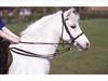 Aerborn Grass Reins