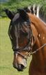 Net Relief Riding Mask