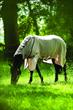 Horseware Ireland Rambo Flybuster Rug