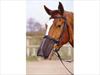 Aerborn Noseshield/ Nose Net for Horses