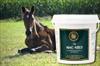 Equus Health Mag- Need Magnesium Supplement for Horses 2Kg