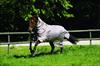 Horseware Ireland Rambo Protector