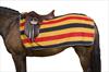 Weatherbeeta Sandown Newmarket Fleece Exercise Sheet
