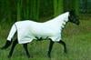 Horseware Ireland Rambo Dustbuster