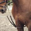 Shires Nylon Harbridge