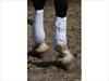 Equilibrium Stretch and Flex Flatwork Wrap